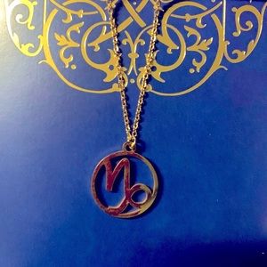 18K Gold Plated Capricorn Zodiac Pendant Necklace